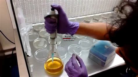 how to pour lb agar plates